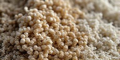 Fibre bio-based come canapa e lino per moda sostenibile